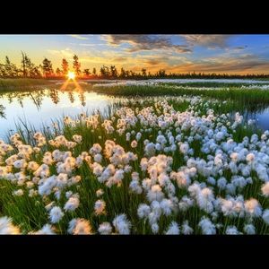 Meet your Posher, Eli